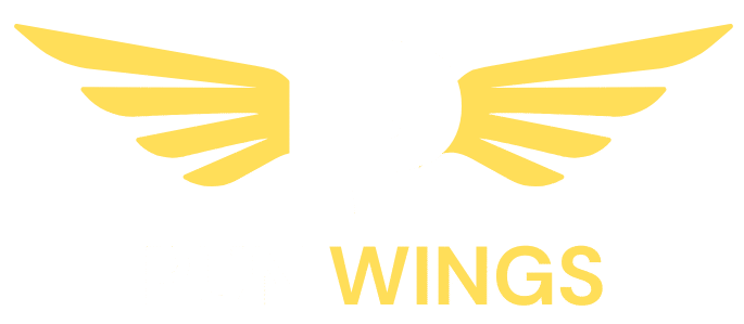 Pun Wings