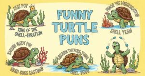 funny-turtle-puns