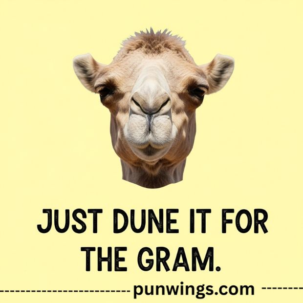 camel-puns-for-captions