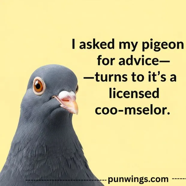 funny-pigeon-puns