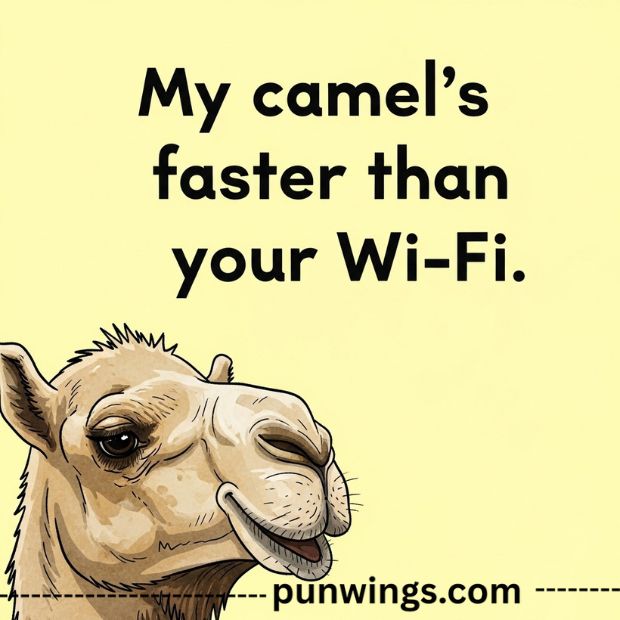 one-liner-camel-puns